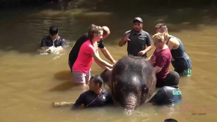 Outdoor Fun with Elena Koshka - Amateur, Brunette, and Beautiful