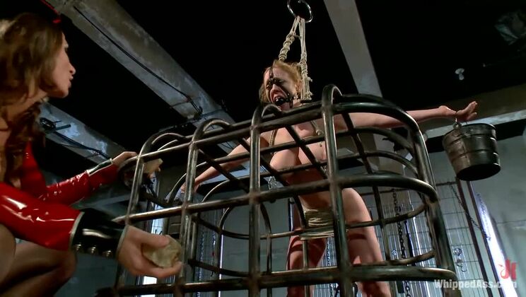 Strap-on Lesdom: Ariel Carmine Dominates Dee Williams Anally