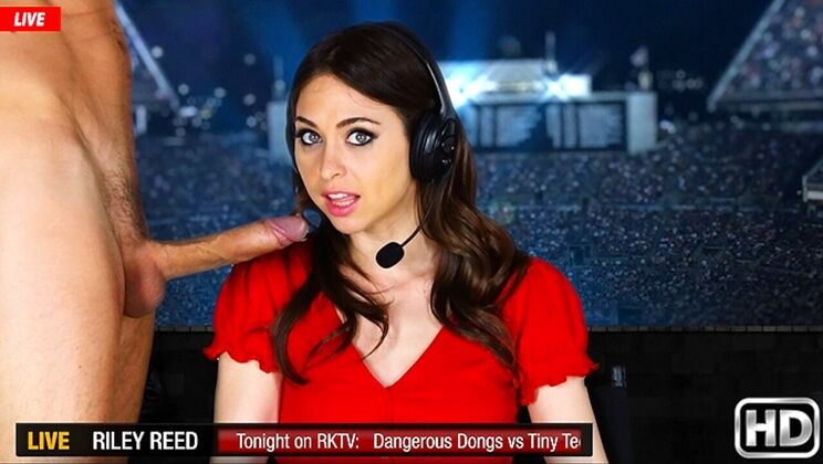 Its Pussy Licking Time