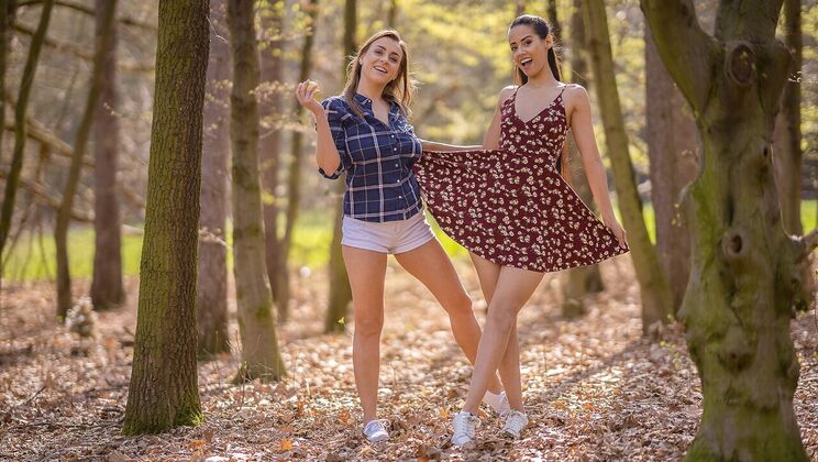 Brunette Latina and Friend in 69 Action