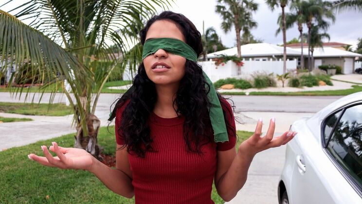 Vienna Black Surprise